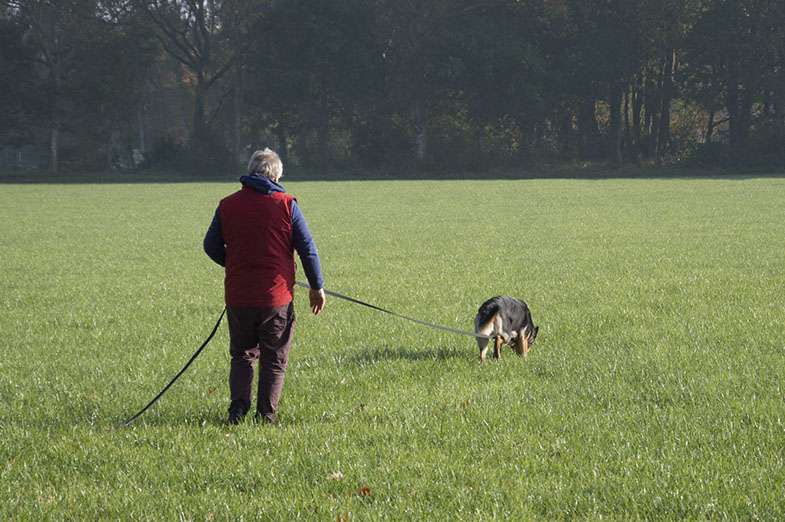 Noor speuren Vidas99