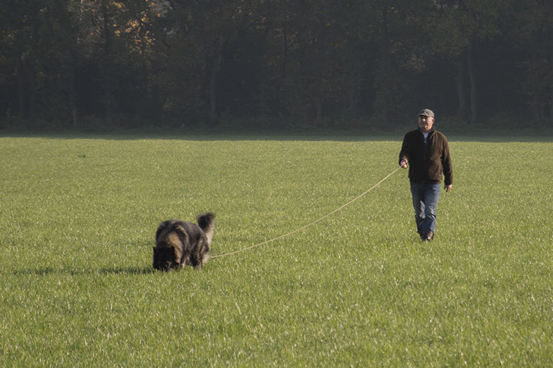 Speuren Joep Vidas99