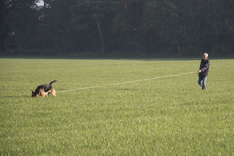 speuren IPO3 Vidas99