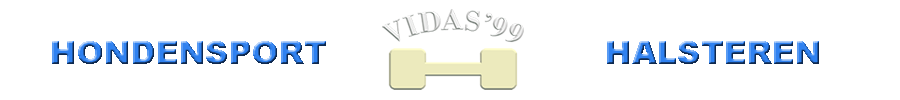 Logo Vidas'99